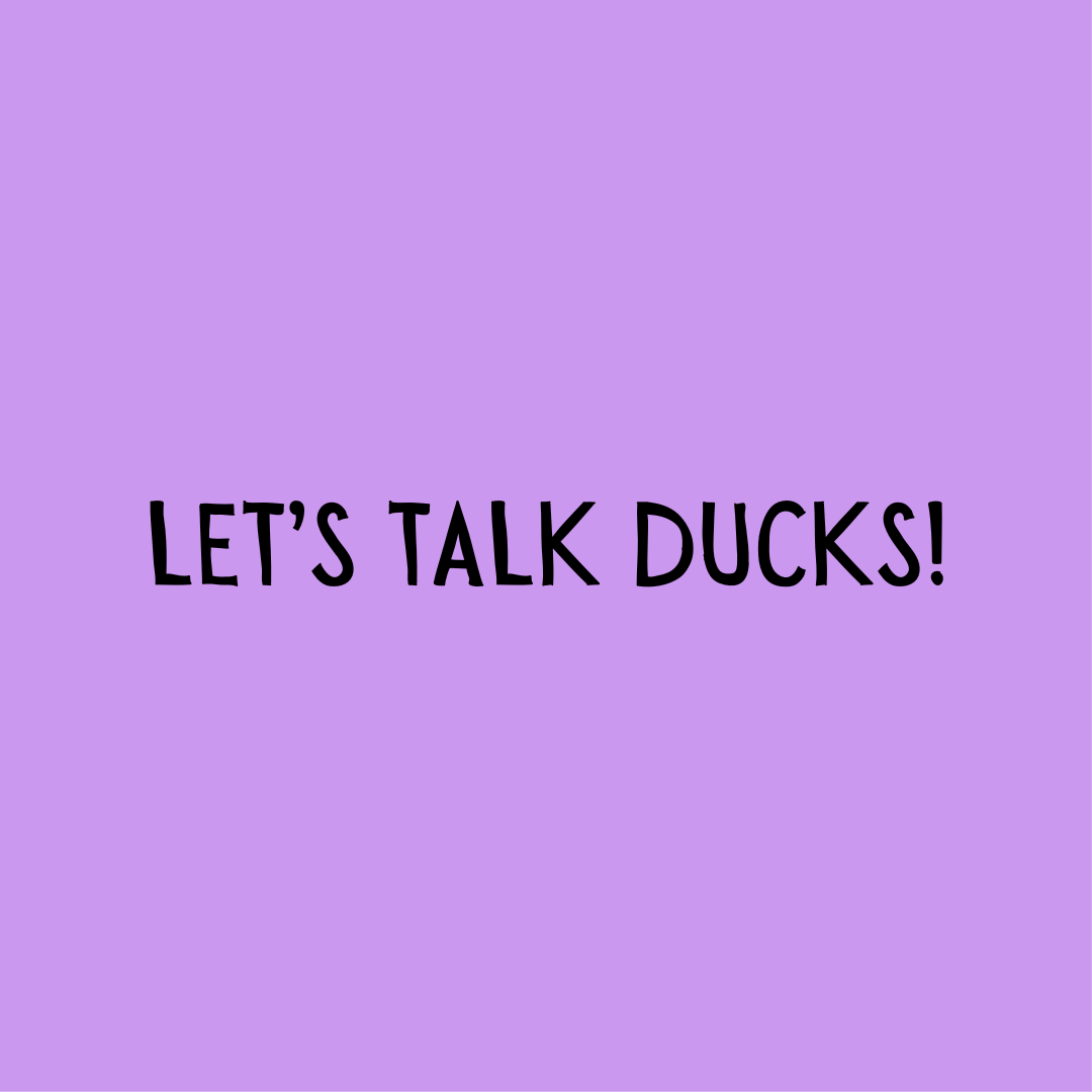Let’s Talk Ducks!