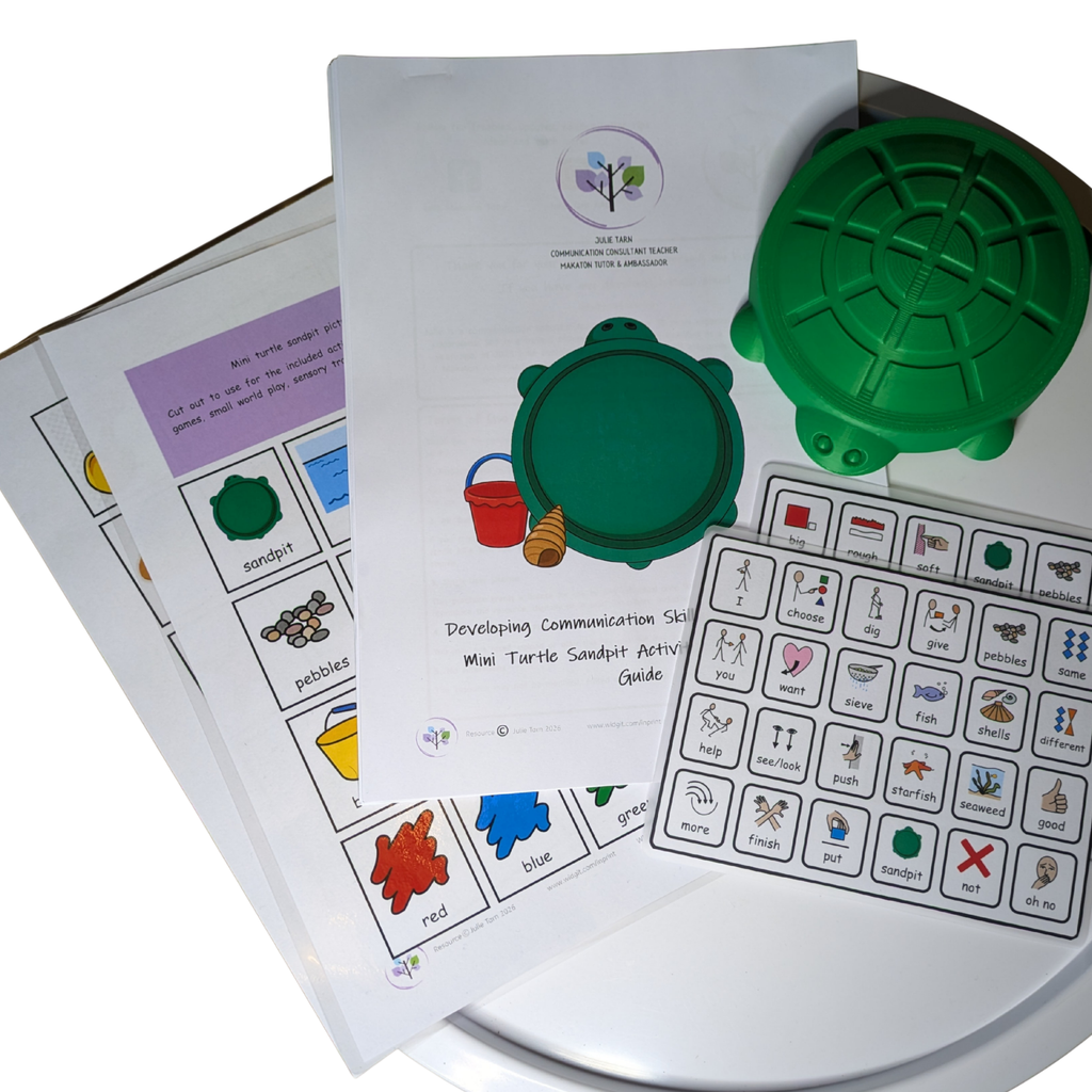 Mini Turtle Sandpit Set